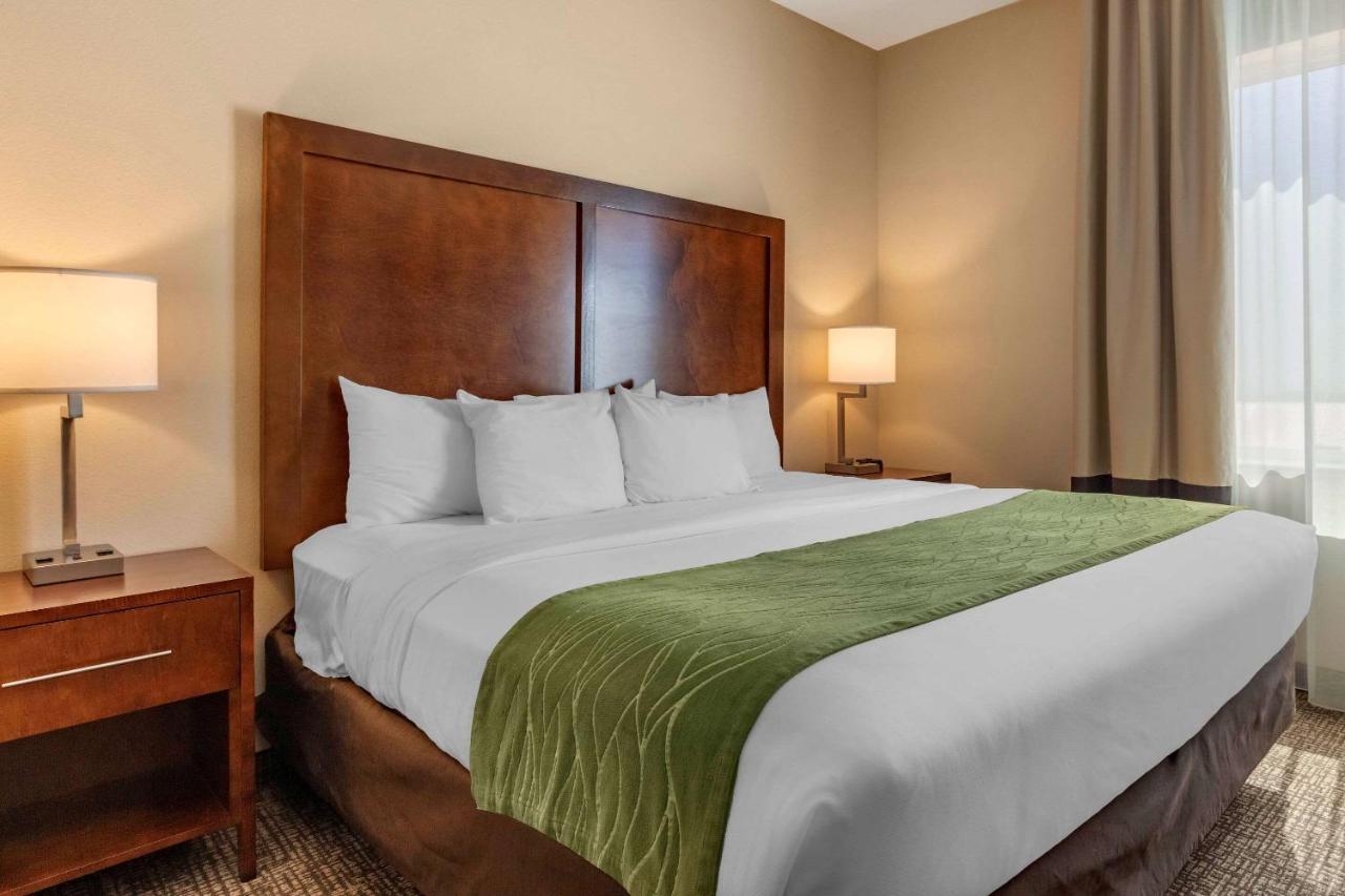 Comfort Inn & Suites Еджвуд Екстер'єр фото