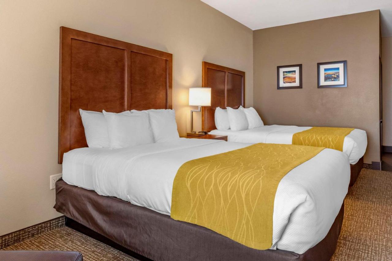 Comfort Inn & Suites Еджвуд Екстер'єр фото