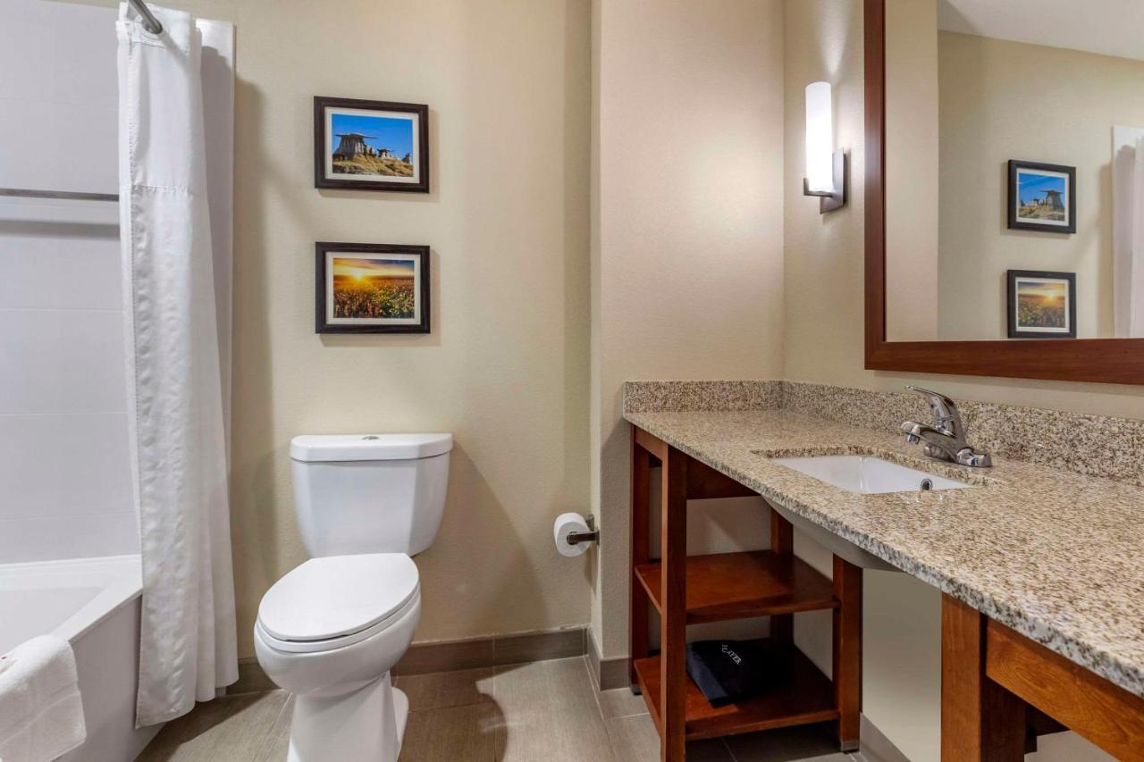 Comfort Inn & Suites Еджвуд Екстер'єр фото
