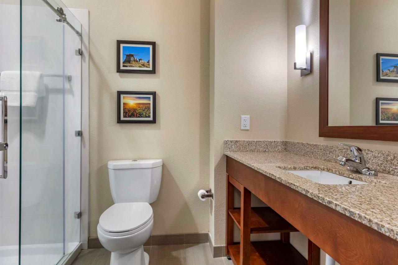 Comfort Inn & Suites Еджвуд Екстер'єр фото