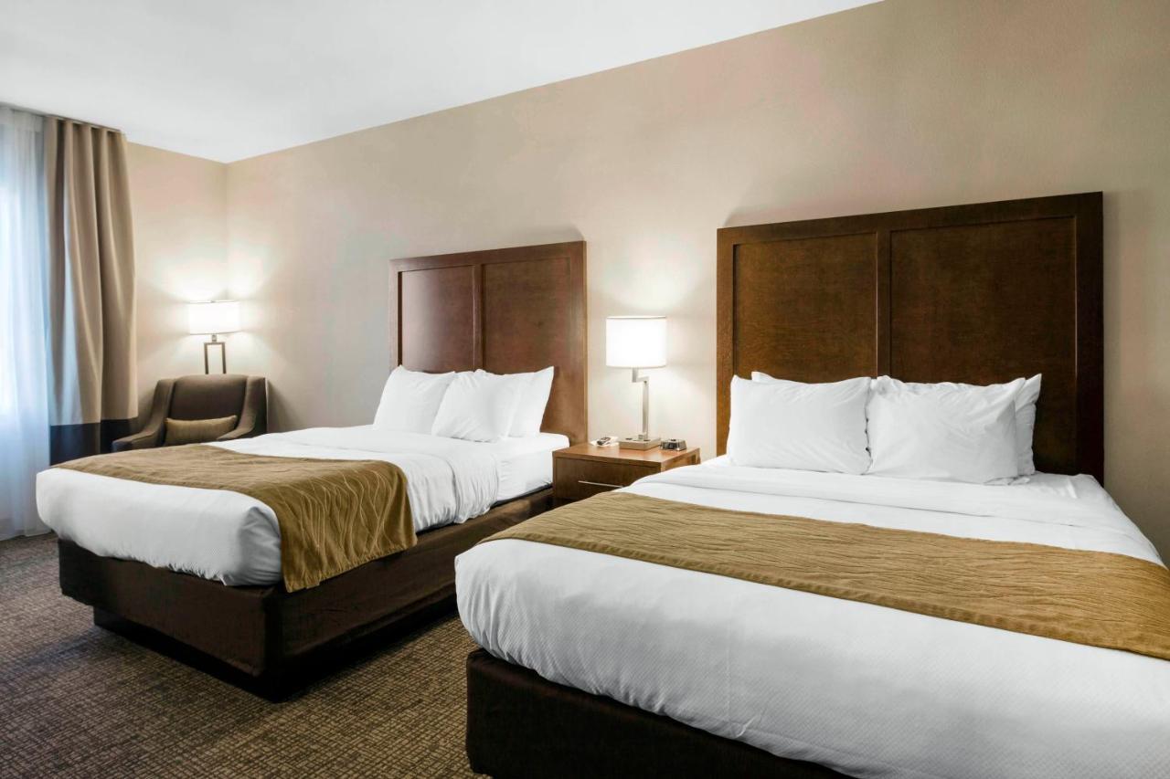 Comfort Inn & Suites Еджвуд Екстер'єр фото